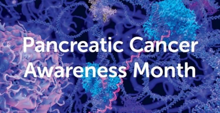 Purple-themed graphic that reads 'Pancreatic Cancer Awareness Month'